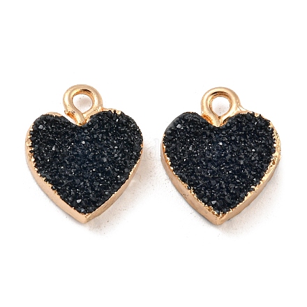 Resin with Golden Zinc Alloy Charms RESI-CJC0009-04E-1