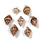 Natural Spiral Shell Pendants, Shell Shape Charms, Coconut Brown, 20~32x11~16x9~15mm, Hole: 1.4mm, about 344pcs/500g
