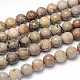 Natural Fossil Coral Round Bead Strands G-O094-08-20mm-1
