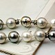 Shell collane di perle perline NJEW-G048-15C-2