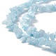Natürliche weiße Jade Chip-Perlen-Stränge X-G-G905-02-4