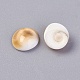 Perle di conchiglia di shiva BSHE-I008-12-2