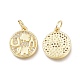 Brass Micro Pave Clear Cubic Zirconia Charms ZIRC-L076-050G-2