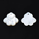 Natural White Shell Charms SSHEL-S258-98A-3