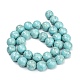 Chapelets de perles en turquoise synthétique G-C180-02D-3