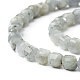 Natural Labradorite Beads Strands G-I270-04-3