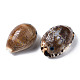 Bedruckte natürliche Kaurimuschel Perlen SSHEL-Q314-001-2