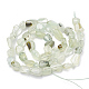 Chapelets de perles en préhnite naturelle G-S339-16-2
