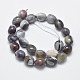 Natural Botswana Agate Beads Strands G-F547-11-C-2