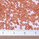 Perles rocailles miyuki rondes X-SEED-G007-RR0553-4