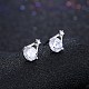 Exquisite 925 Sterling Silver Cubic Zirconia Stud Earrings EJEW-BB20048-3