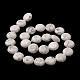 Natural Howlite Beads Strands G-M403-C07-4