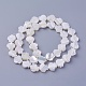 Chapelets de perles de coquillage SSHEL-E571-25-2