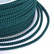 Polyester Braided Cord OCOR-F010-A43-2MM-3
