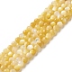 Brins de perles de coquillage jaune doré naturel SSHEL-G029-01A-1