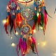 Woven Net/Web with Feather Pendant Decoration HJEW-PW0001-028-4
