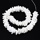 Shell normal de perles blanches de brins SSHEL-S266-029-2