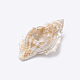 Бусины из морских раковин SSHEL-Q300-076-5