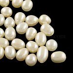 Perles de riz naturelles de culture d'eau douce, demi-percés perles, couleur de coquillage, 8~11x6~7mm, Trou: 0.6~0.7mm