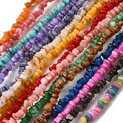 Бусины из натуральных пресноводных ракушек SHEL-B003-01