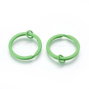 Железные брелоки с краской IFIN-L038-13-FF