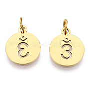 Подвески из нержавеющей стали 304 STAS-Q201-T446G-04