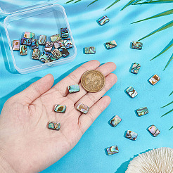 1 brin de perles en coquillage d'ormeau naturel/coquillage paua&nbsp;BSHE-BC0001-12