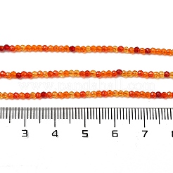 Прозрачные стеклянные бусины&nbsp;GLAA-H027-01I