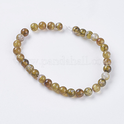 Природных вены драконов агат бисер нитей&nbsp;X-G-G515-6mm-02B