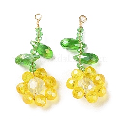 Подвески из стеклянных бусин&nbsp;GLAA-C028-06C