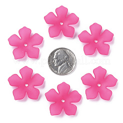 Прозрачные акриловые бусины&nbsp;MACR-S373-119-D17