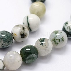 Chapelets de perles en agate d'arbre naturelle&nbsp;G-I199-03-10mm