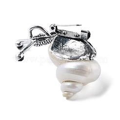 Улитка белая натуральная раковина ископаемая брошь булавка&nbsp;JEWB-A020-01AS-02