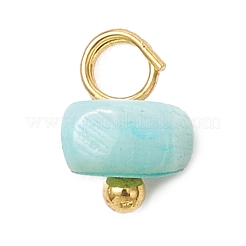 Подвески из натуральных окрашенных пресноводных ракушек&nbsp;PALLOY-JF05032-01