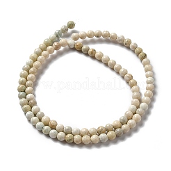 Fili di perline di magnesite naturale&nbsp;X-G-L555-02A-01