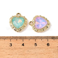 Aluminium Anhänger & Charms&nbsp;FIND-K032-01G
