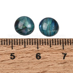 Conchiglia di abalone / cabochon di conchiglia paua&nbsp;X-SSHEL-K003-8MM