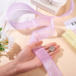 Cinta de organza de poliéster&nbsp;TAC0006-01D
