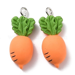 Подвески из смолы&nbsp;X-RESI-C002-31