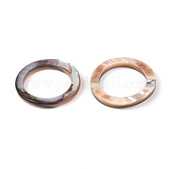 Соединительные кольца из натуральной ракушки пауа&nbsp;SSHEL-N041-01B