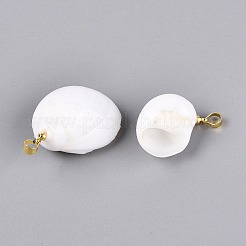 Pendentifs en laiton et coquillage spiralé naturel&nbsp;SHEL-Q029-12KCG