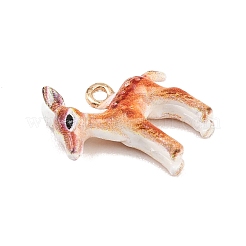 Эмалевые подвески из животного сплава&nbsp;ENAM-P264-03A-G