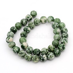 Fili di perline gemstone&nbsp;GSR10mmC006