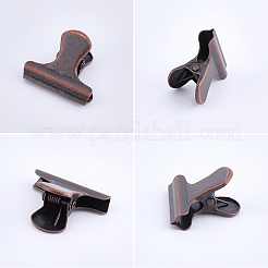 12 clip di ferro&nbsp;IFIN-CP0003-02R