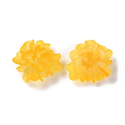 Прозрачные смолы кабошоны&nbsp;LS-RESI-G027-01C