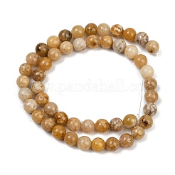 Природный агат бисер нитей&nbsp;G-U026-A07-8mm