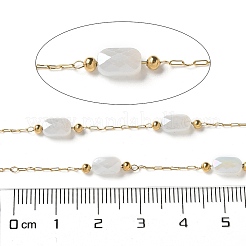 Цепи из хирургической нержавеющей стали 316&nbsp;CHS-B007-02G-02