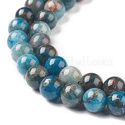 Perle di apatite naturali&nbsp;G-E481-05-10mm-01