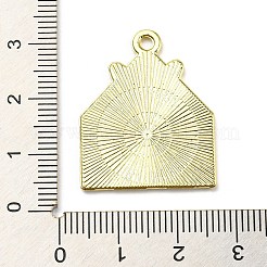 Подвески из цинкового сплава&nbsp;ENAM-I058-A02