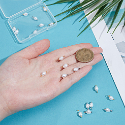 20 шт.&nbsp;PALLOY-PH01895